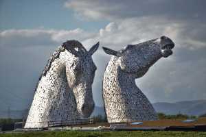 THE KELPIES(002)